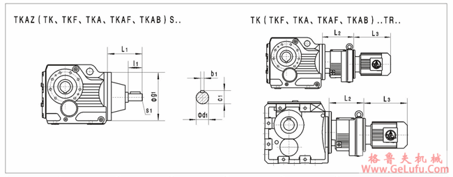 TK系列螺旋伞齿轮减速机外形安装尺寸(型号为TK..S、TK..)(图2)