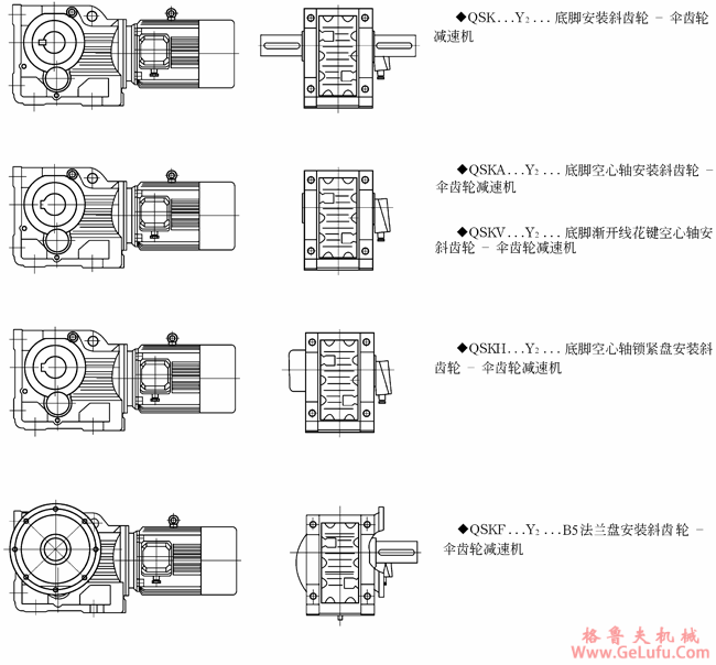 QSK系列斜齿轮―伞齿轮减速机结构型式图(图2)