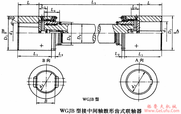 WGJ型接中间轴鼓形齿式联轴机外形及安装尺寸（JB/T8821-98）(图3)