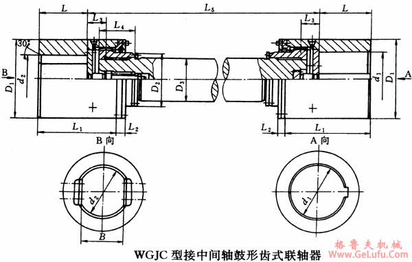 WGJ型接中间轴鼓形齿式联轴机外形及安装尺寸（JB/T8821-98）(图4)