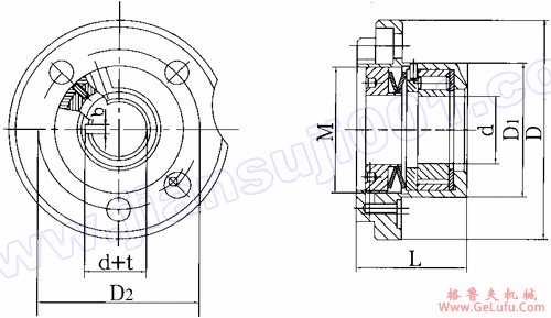 CGZS型带超越离合机的自锁装置（自锁机）(图3)