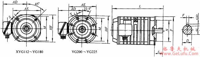 YG系列辊道用三相异步电动机外形尺寸（H112～225mm）(图3)