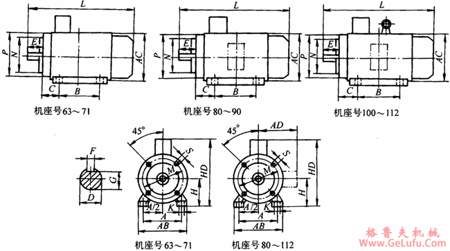 Y2系列三相异步电动机产品外形尺寸（H63～355mm）(图5)