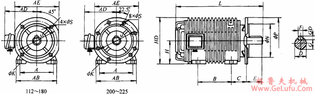 YSG系列辊道用变频调速三相异步电动机外形尺寸（H112～225mm）(图4)