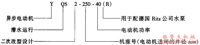 YQS2系列井用潜水三相动机概述及结构简介(图2)