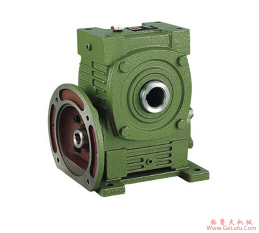 WPWDKS系列蜗轮蜗杆减速机(图5)