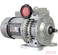 WS系列圆柱蜗杆减速电机选型参数表（功率0.55kW）